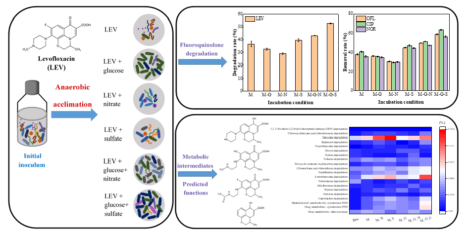 biodegradation of levofloxacin by enriched microbial consortia