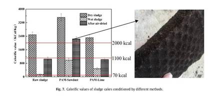 Feasibility of sludge.jpg
